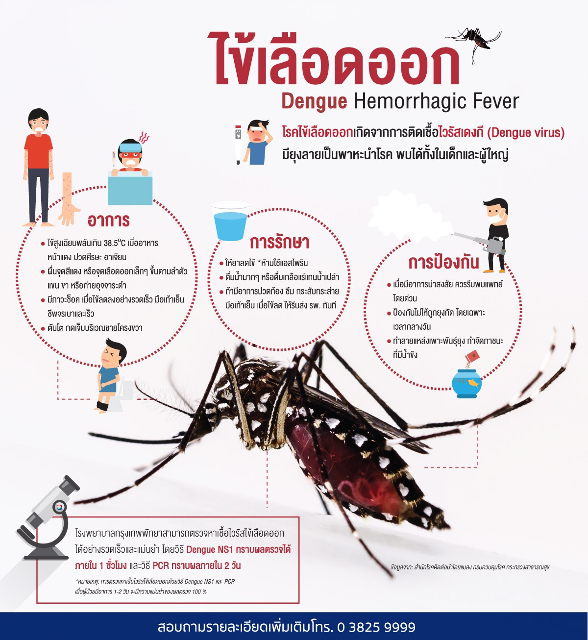 รายการ 97+ ภาพ ภาพไข้เลือดออก อัปเดต